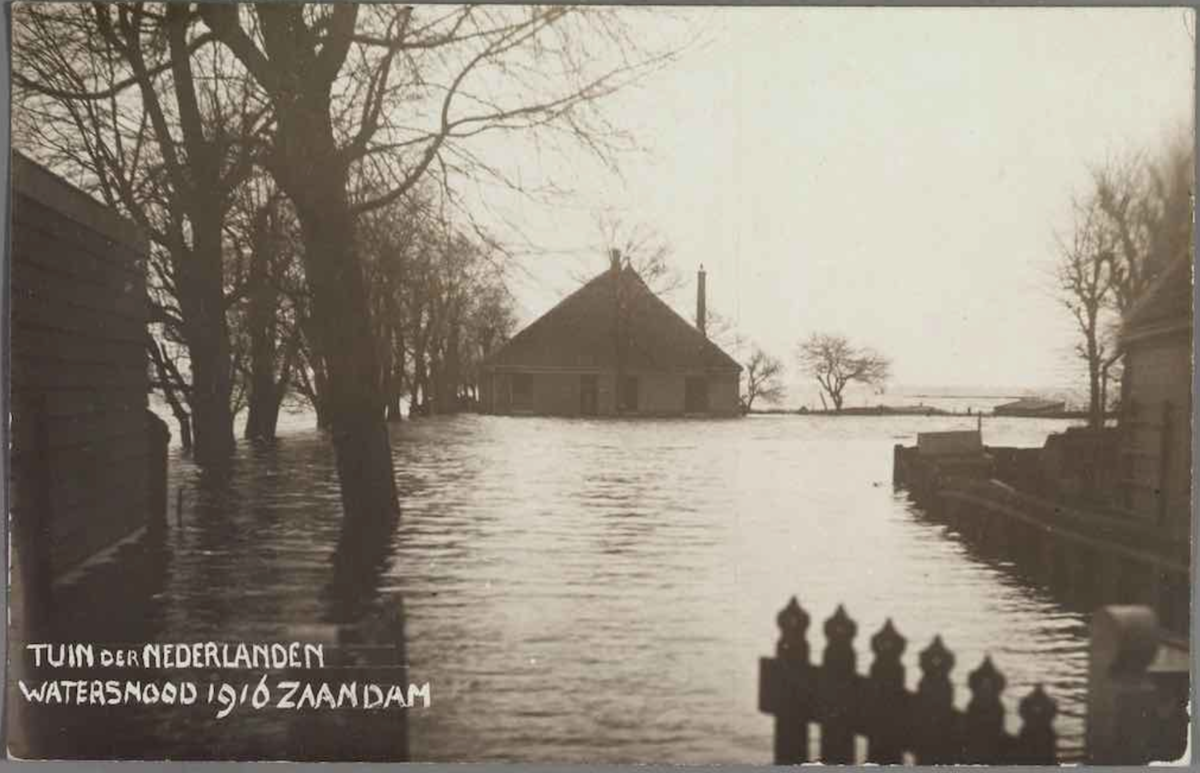 TND_1916_1.png