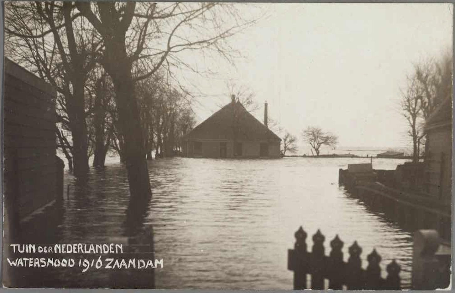 TND_1916_1.png