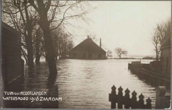 TND_1916_1.png